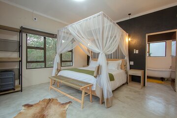 Exhilarating 2 Day Kruger Safari from Nelspruit