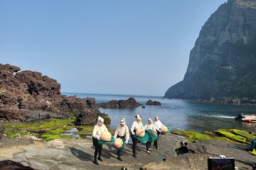 Private Round Trip Woman Diver Performance in Jeju Island