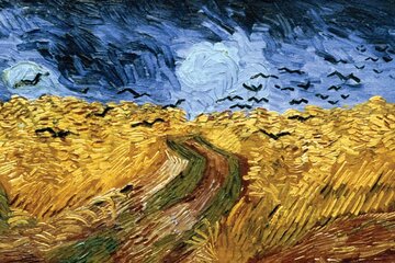 Van Gogh Museum Tour (including tickets) 