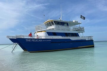 4-Hour St. Pete Pier to Egmont Key Experience by Ferry