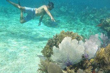 Culebra Beach Day Tour with Snorkeling from San Juan by Ferry