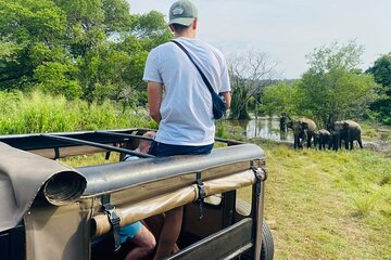 Jeep Safari Sigiriya |Eco Park Morning & Evening Safari