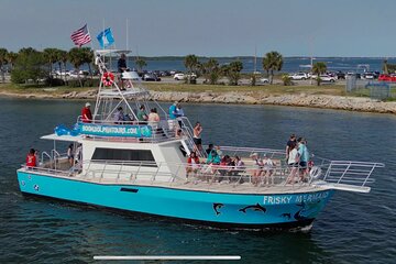 Frisky Mermaid Public Dolphin + Sightseeing Cruise Up to 49 Pax