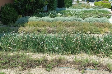 Wine Tasting Experience from Thessaloniki