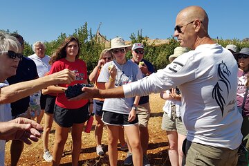 Full-Day Private Guided Ashdod Cruise Excursion Tour