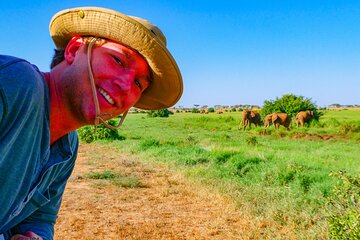 Embark on a Spectacular 2 Days Safari to Tsavo East National Park