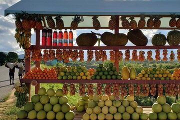 2-Day Private Tour of Andasibe National Park