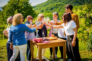 Private Tour and Goblet Walking in the Valdobbiadene Vineyards