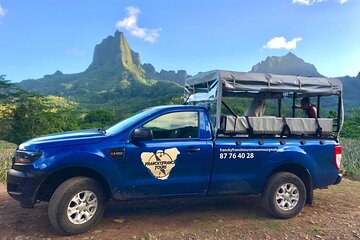  Franckyfranck Tours Moorea - Tours en demie-journée // Half day Tours 