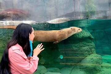 Michin Aquarium Puebla ticket