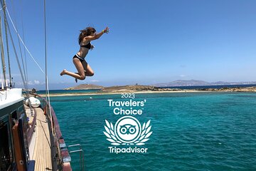Mykonos: Combo Yacht Cruise to Rhenia and Guided Tour of Delos (free transfers)