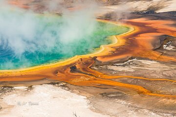Full-Day Tour in Yellowstone National Park