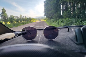 Half Day Private Oreum(Small Mountain ) Tour in Jeju Island