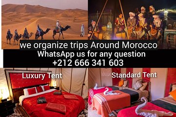 1 night Camel Trekking in Merzouga Desert Camps