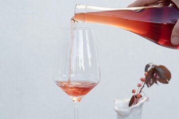 Guided Wine Tasting in Sebastopol with Local Sommelière