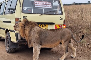 5 hours Nairobi national park drive
