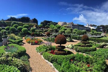 2.5 Hours Wine Tour in Waiheke Island for Cruise Ship Travelers