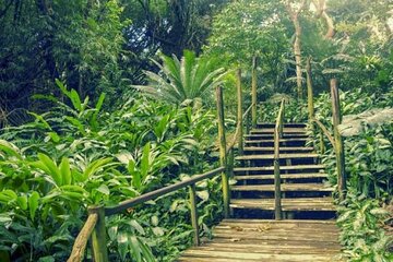 Best of Nadi Highlights