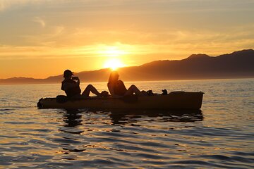 Sunset Kayak tour in Kaikoura
