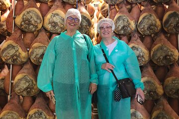 Small Group Food Tour Visit to Emilia with Licensed Guide