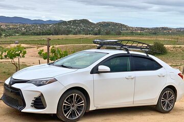 Private Transfer from Tijuana to Ensenada and Valle de Guadalupe