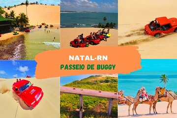 Buggy Day Trip through Genipabu and the North Coast.