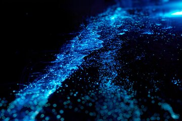 Kayak Bioluminescence Santa Teresa with transportation