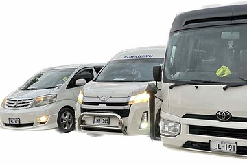 Private Transfer-Nadi International Airport to Hotels