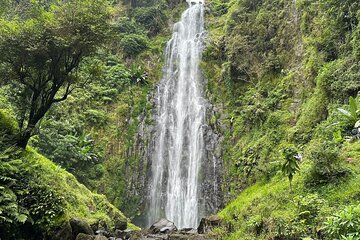 Materuni Waterfall and Coffee Plantation Half Day Tour