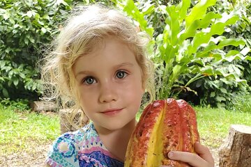 Traditional Chocolate Making in Belize