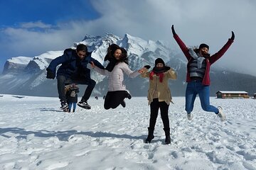 Banff Hot Springs - Gondola - Wildlife Tour from Calgary/Banff