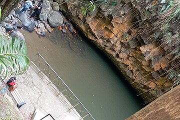 Half Day Private Tour of the Spice Isle