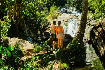 Private Rainforest Waterfall Escape Local Foods and Beach Tour