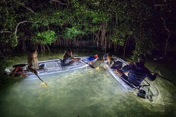 Clear Kayak LED Night Glass Bottom Tour - Siesta Key, FL