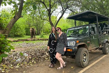 Udawalawe National Park | 4 Hours Safari Tour