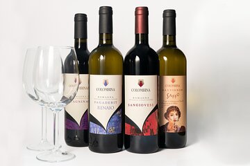 Private tastings at the Colombina Agricultural Company