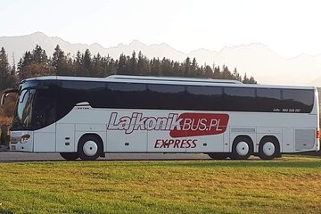 Krakow - Auschwitz Museum: Shuttle Bus Ticket