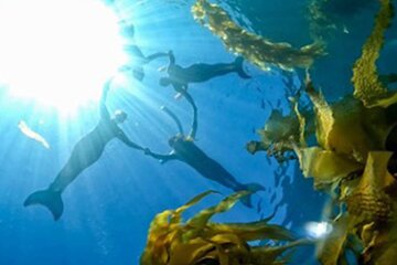 All Inclusive Day Trip to Catalina Island for a Mermaid Filmshoot