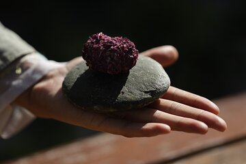 3 Hours Private Food Tasting in Tukcha