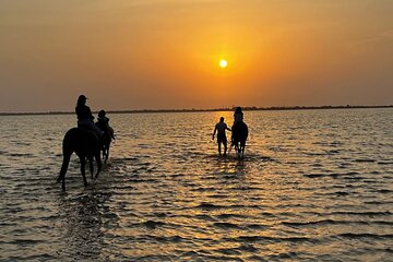 Private Horse Riding Experience at Red Sea