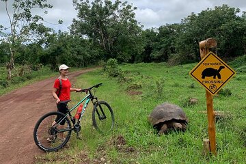 Galapagos Tortoise Bike Route.