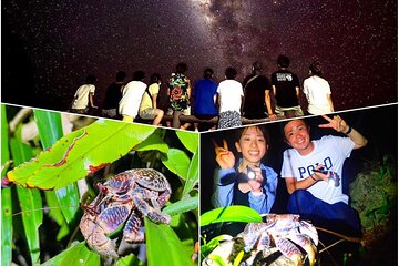 [Okinawa Miyako] Natural planetarium! Starry sky & subtropical jungle Night tour