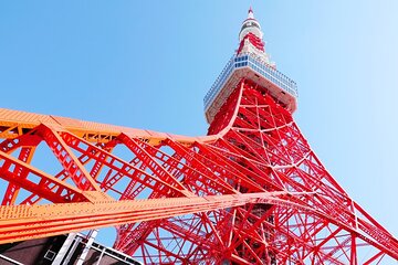 Tokyo 1-Day Bus Tour, hotel pick-up and drop-off, Japan Gray Line