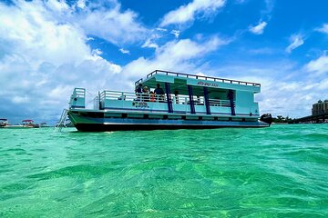 FAMOUS Destin Dolphin Cruise & Crab Island Sandbar