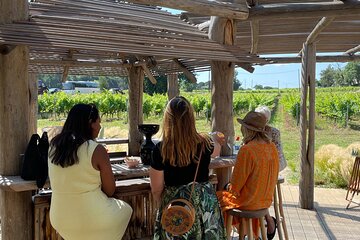Private 1/2 day wine tour St-Tropez