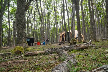 Crestón Valley Glacier Experience