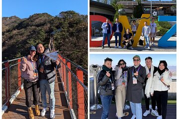 DMZ Tour from Seoul (Optional Red Suspension Bridge, DMZ Gondola)