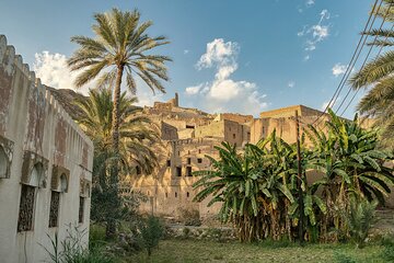 Enjoy a special tour around the heart of Oman in nizwa