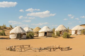 Desert Yurt Camp tour - 2 days (shared)