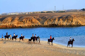 2-Hours Marsa Alam Horse Riding In the Desert & On the Beach